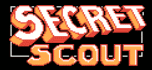 Secret scout