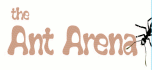 ant arena