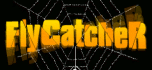 fly catcher
