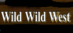 wild wild west