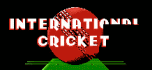 International cricket
