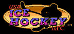 USA ice hockey in FC