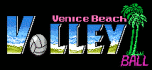 Venice beach volleyball