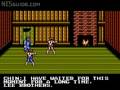 nesguide.com - double dragon iii: the sacred stones. captured from an actual nes console and cartridge.