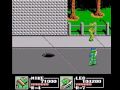 www.longplays.net played by ravenlord & 18delta this was the last side-scrolling teenage mutant ninja turtles game for nes. it followed the highly acclaimed turtles ii over a year later and, unlike its predecessor, doesn't have an arcade counterpart. the third game in the series is basically the same as the second. the story and the stages are different, of course, but it doesn't really matter. choose your favourite turtle and kill as many foot clan soldiers as you can, fight the bosses and reach shredder in a double dragon-styled game. the graphics and gameplay were improved. and, if the choice of the turtle depended only on personal taste in the second game (as they were all the same, in different colors), in this third episode they gained individual special moves. played in two player mode by ravenlord & 18delta :)